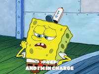 season 6 gullible pants GIF by SpongeBob SquarePants