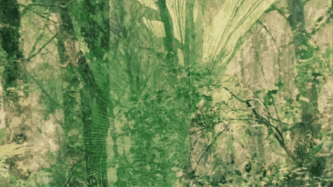 marianthe_loucataris giphygifmaker GIF