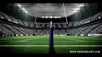 Touchdown with Berk's Beans Coffee