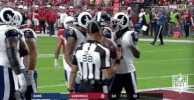 Los Angeles Rams Football GIF by NFL
