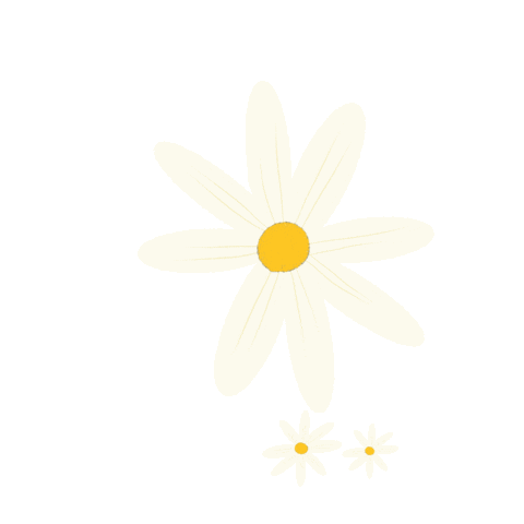 Daisy Flower Flowers Sticker