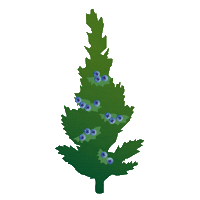 AmbergSulzbacherLand nature bayern bavaria natur Sticker