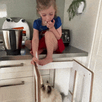 Double Trouble Cute Cat GIF by NZ Collab