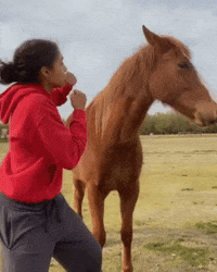 dezmineann fight black horse silly GIF