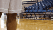 vwu_marlins marlins vwu wethebeach virginiawesleyan GIF
