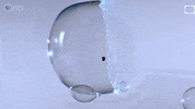 Bubbles GIF by PBS Digital Studios