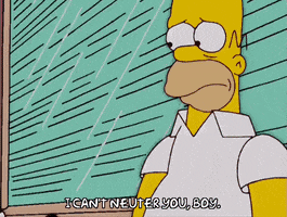 homer simpson dog GIF