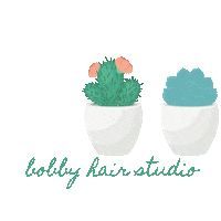 Cactus Salon Sticker by Bobby Hair Studio