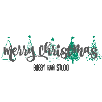 Merrychristmas Sticker by Bobby Hair Studio