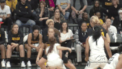 iowa hawkeyes go hawks GIF by University of Iowa Hawkeyes Athletics