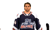 Hwp Sticker by Hartford Wolf Pack