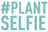 Selfie Plant Sticker by Urban Jungle Bloggers