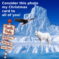 North Pole Snow GIF