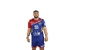 National Team Sport Sticker by Rushandball