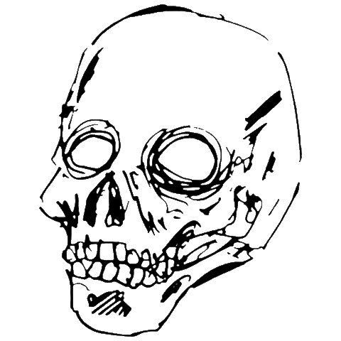 Skate Skull Sticker by Zero Skateboards