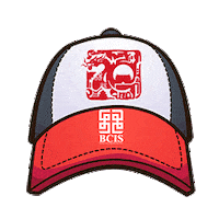 Lele Sticker by Beijing City International School