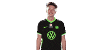 E Sports Sport Sticker by VfL Wolfsburg
