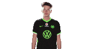 E Sports Sport Sticker by VfL Wolfsburg