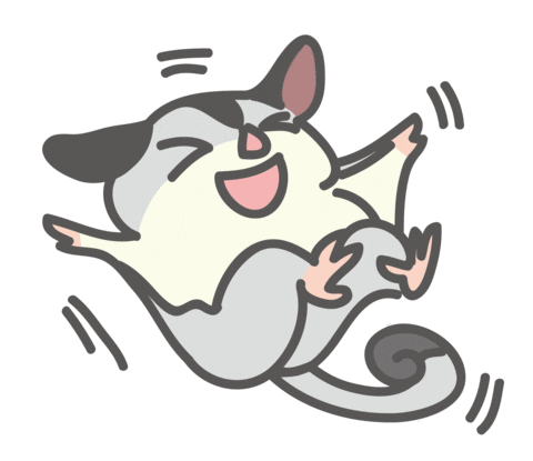 pollyweng giphyupload sugar glider sugarglider crazytapioca Sticker