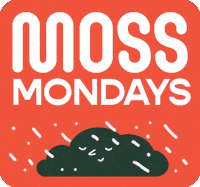 Monday Plant GIF by theswampsg