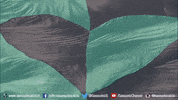 serie a soccer GIF by U.S. Sassuolo Calcio