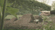 Mountain Bike Animation GIF by Santa Cruz Bicycles