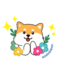 Shiba Inu Hello Sticker by DaisoJapanPH