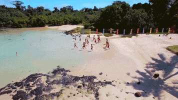 australia GIF by Australian Survivor
