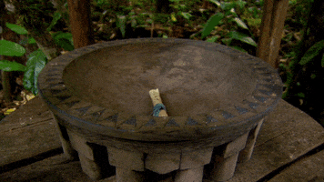 australia GIF by Australian Survivor