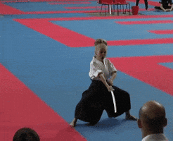kick katana GIF