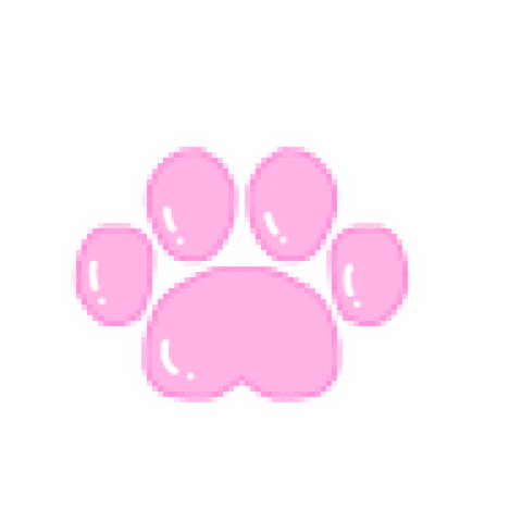 healthland giphyupload kawaii face neko Sticker