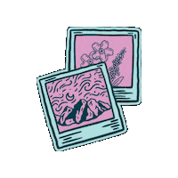 alaskawildlights photo picture mountains polaroid Sticker