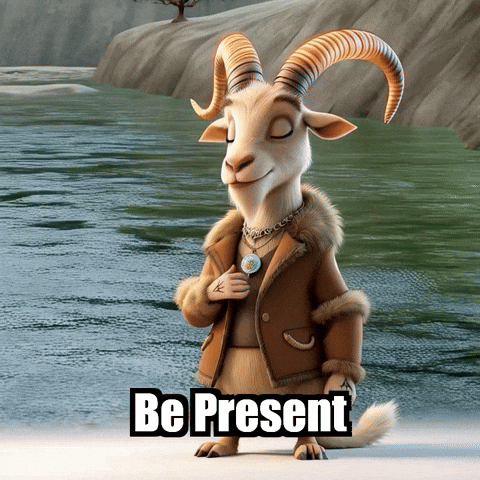 GIF by Radiantelope
