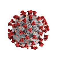 Virus Acp Sticker by American College of Physicians (ACP)