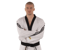 Taekwondo Smile Sticker by Team Slovenia