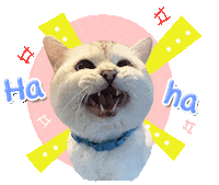 Nalacat Whitecoffeecat Sticker
