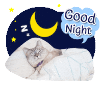 nalacat whitecoffeecat Sticker