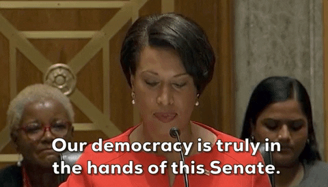 Dc Statehood GIF by GIPHY News