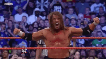 triple h wrestling GIF by WWE