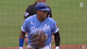 Salvador Perez Baseball GIF by Kansas City Royals