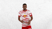 Football What GIF by RB Leipzig