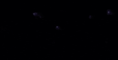 James Madison Logo GIF by JMUDukes
