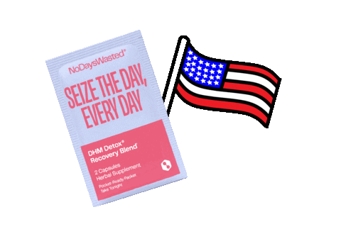 4Th Of July Drinking Sticker by No Days Wasted