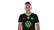 E Sports Sport Sticker by VfL Wolfsburg