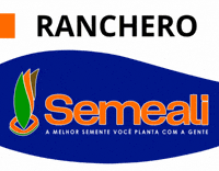 GIF by semealisementes