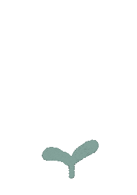 Flower 花 Sticker