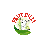 PetitBilly food healthy healthyfood recette Sticker