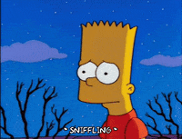bart simpson kearney zzyzwicz GIF