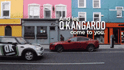 Q-KANGAROO  GIF