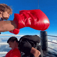 Knock Out Boxing GIF by Respective